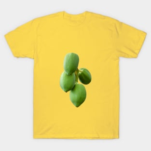 Ripening Mangoes T-Shirt